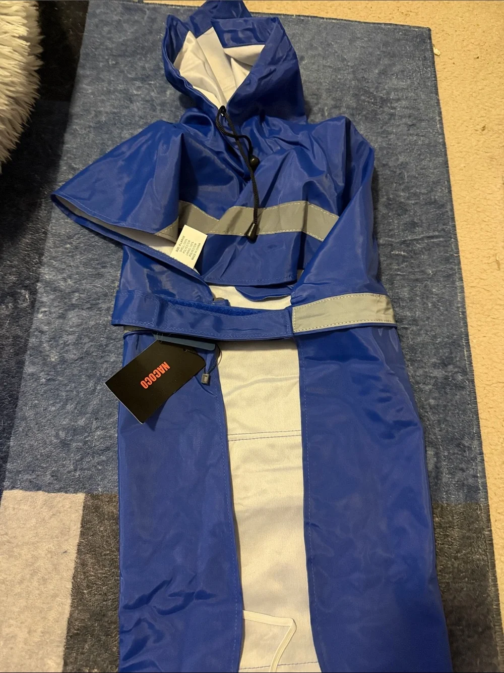 The Cutest Raincoat for your Dog